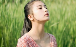 雨宿公交车站第2集樱花